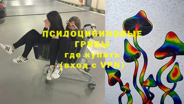 крисы Алексеевка