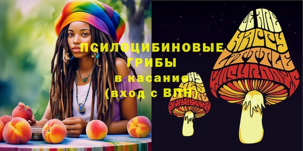 крисы Алексеевка