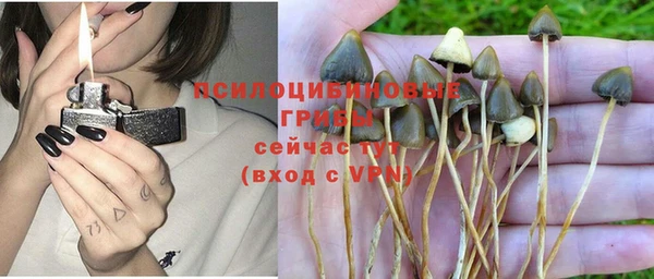 mdpv Абинск