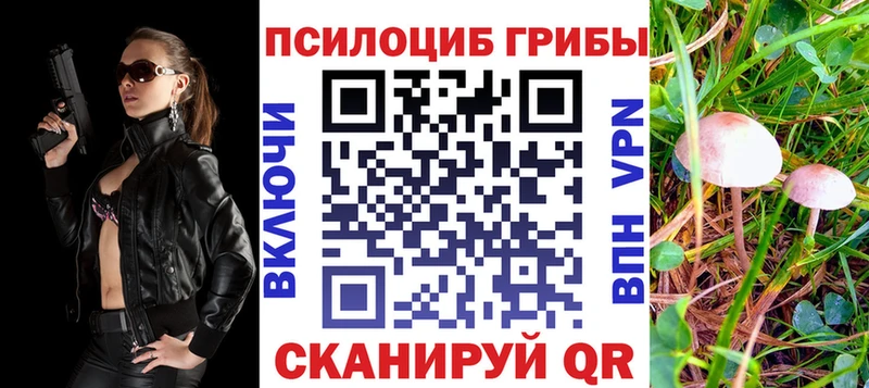 где найти   Кирсанов  маркетплейс состав  Псилоцибиновые грибы прущие грибы 